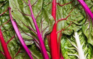 Groene ontlasting 10 Afwijkende darmflora in content e
